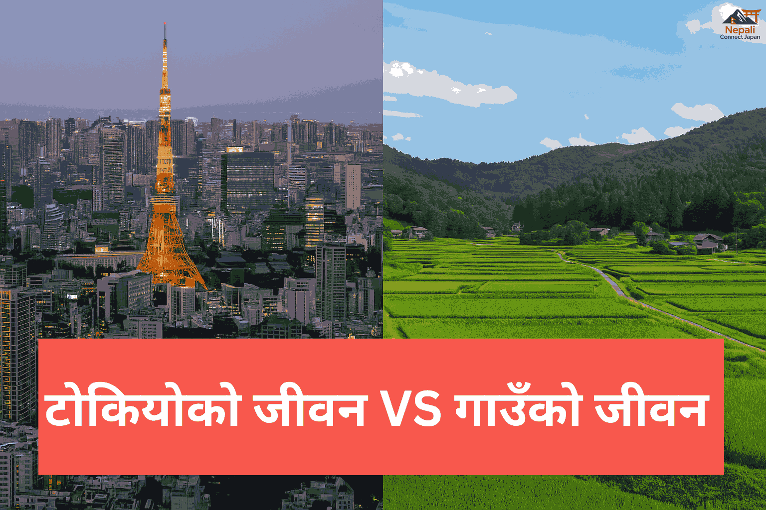 tokyo life vs village life comparison